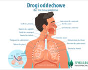 Drogi oddechowe