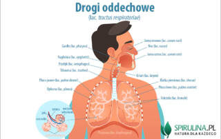 Drogi oddechowe