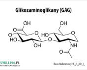 Glikozaminoglikany