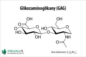 Glikozaminoglikany
