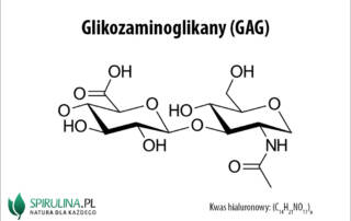 Glikozaminoglikany