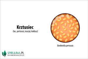 Krztusiec