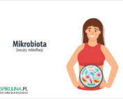 Mikrobiota