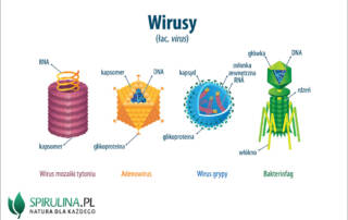 wirusy