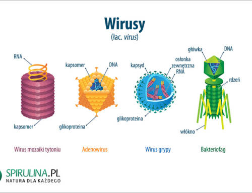 Wirusy