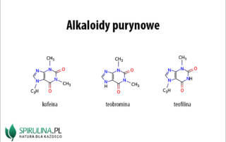 Alkaloidy purynowe