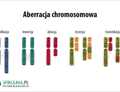 Aberracja chromosomowa