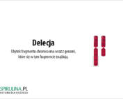 Delecja