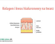 Kolagen i kwas hialuronowy na twarz