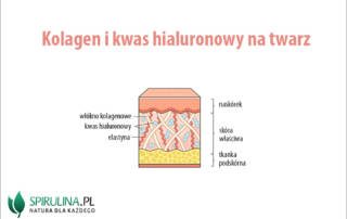 Kolagen i kwas hialuronowy na twarz