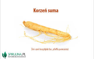 Korzeń suma