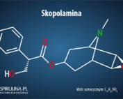 Skopolamina