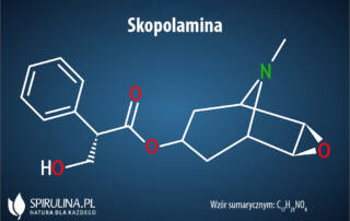 Skopolamina