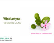 Winiblastyna
