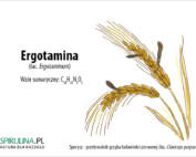ergotamina
