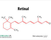 retinal