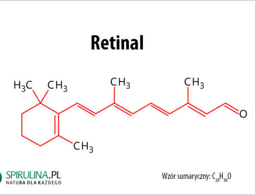 Retinal