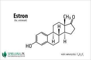 Estron