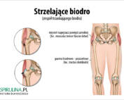 Strzelające biodro