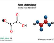 Kwas szczawiowy (kwas etanodiowy)