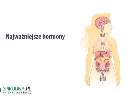 Najważniejsze hormony