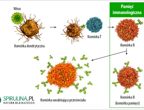 Pamięć immunologiczna