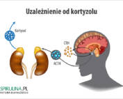 Uzależnienie od kortyzolu