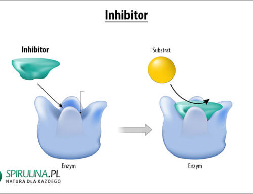 Inhibitor