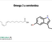 Omega 3 a serotonina