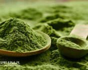 Chlorella i trawa jęczmienna