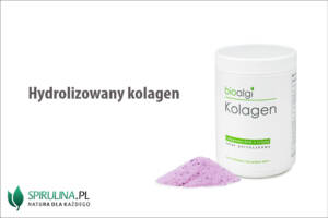 Hydrolizowany kolagen