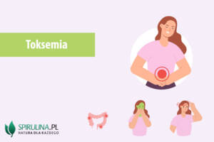 Toksemia