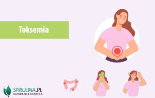 Toksemia