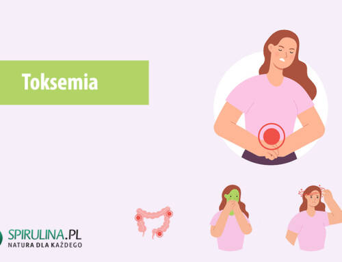Toksemia