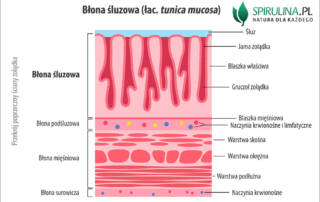Błony śluzowe