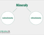 Minerały