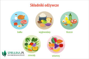 Składniki odżywcze