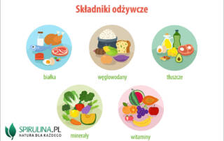 Składniki odżywcze