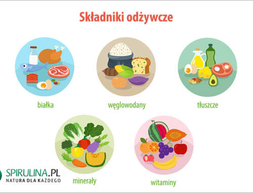 Składniki odżywcze