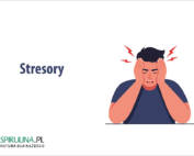 Stresory