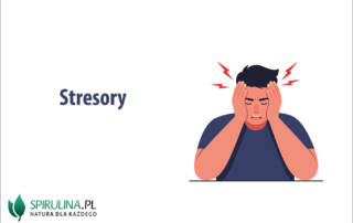 Stresory