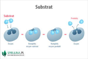 Substrat