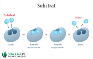 Substrat
