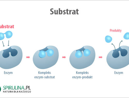 Substrat