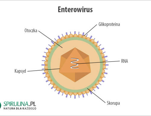 Enterowirusy