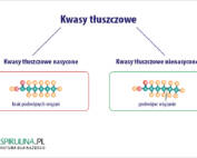 Kwasy tłuszczowe
