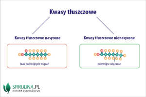 Kwasy tłuszczowe