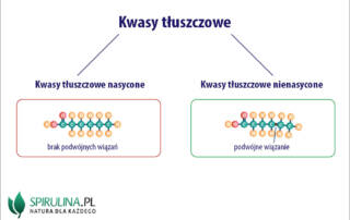 Kwasy tłuszczowe