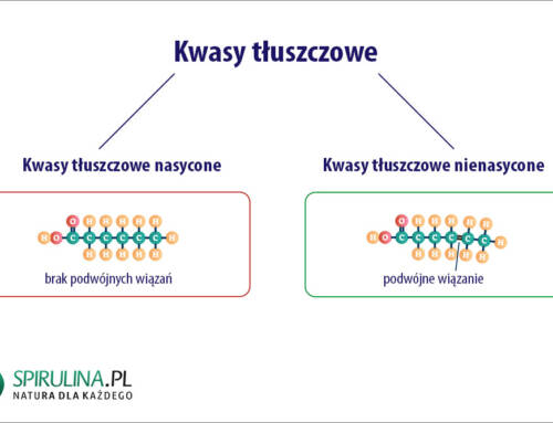 Kwasy tłuszczowe