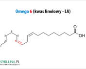 Omega 6